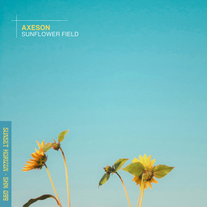 Sunflower Field by Axeson