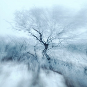 The In-Between by Bula Sete