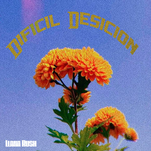 Dificil Desicion by Llana Rush