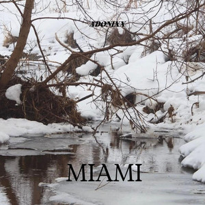 Miami by ADONIXX