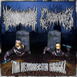 Tha Rezurrected Wiggaz by Wiggavisceration, Cephalotripsy