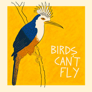 Birds Can't Fly by Birds are Friends