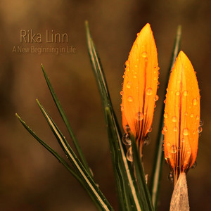 A New Beginning in Life by Rika Linn