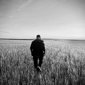 La Posada del Gorrión - Camino