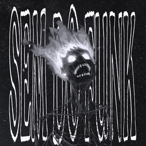 SEM DO FUNK - slowed by yours.