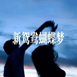 新鸳鸯蝴蝶梦 - R&B氛围女声 by 小仓鼠要晚睡