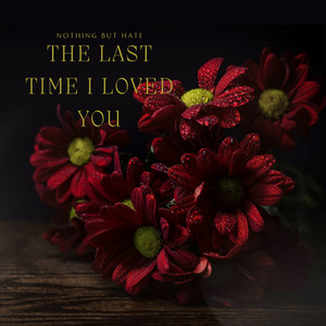 The Last Time I Loved You by Nothing But Hate