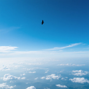Up To The Sky by Marcos De Lima