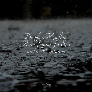 Deeply Mindful Rain Sounds for Spa and Meditation album