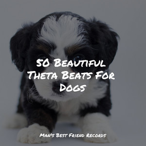 50 Beautiful Theta Beats For Dogs album