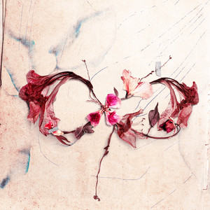 ดอกไม้แห่งความงดงาม - Blossom by Famoso
