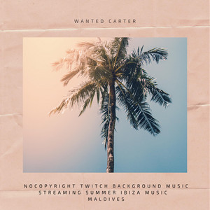 Wanted Carter - Summer Ibiza Music Maldives