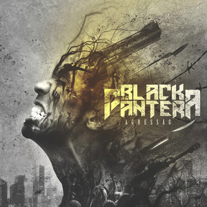 Poder para o Povo by Black Pantera