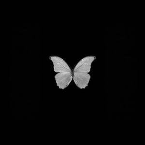 TELL NOBODY by VANNĀH