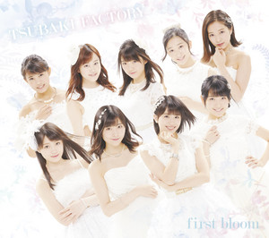 断捨ISM - song and lyrics by つばきファクトリー | Spotify