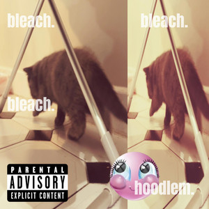 bleach. by xoxo!