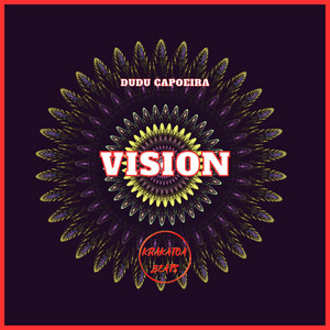Vision