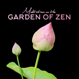 Garden of Zen Energy by Hannah Mary, Lucas Younger, Shane Nole