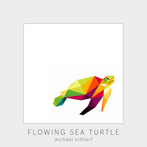 Flowing Sea Turtle by Michael Schlierf
