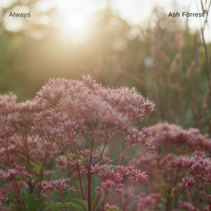 Always by Ash Forrest