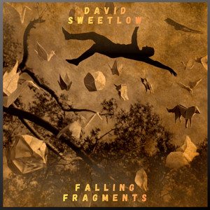 Falling Fragments by David SweetLow