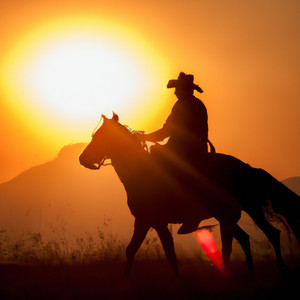 Relaxing Cowboy Western Americana Wake Up Alarm, January Fifth - Instrumental Acoustic Pedal Steel Country Guitar and Fiddle Version by Sage Moss