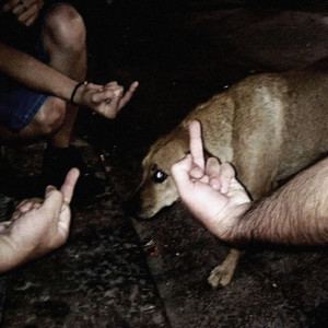Campus Homicide by fish eat cat