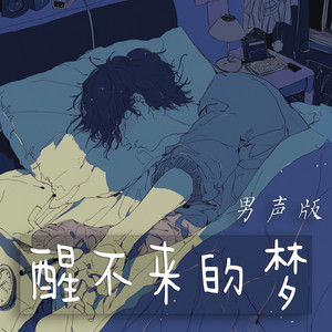 赵晨瑜 - 醒不来的梦 (男声版)