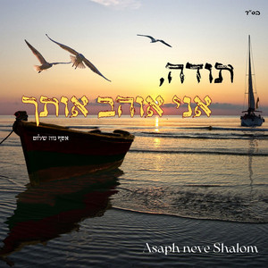 תודה, אני אוהב אותך by Asaph Neve Shalom