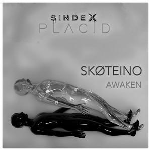 Skøteino - Whiz