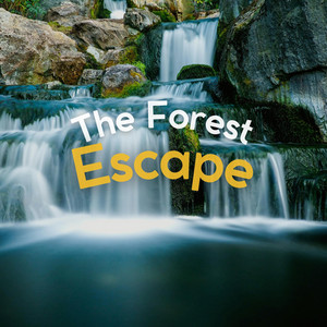 The Forest Escape album