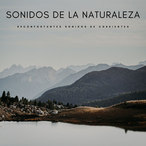 Sonidos De La Naturaleza: Reconfortantes Sonidos De Corrientes album