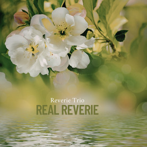 Imagination by Reverie Trio