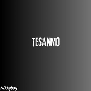 Nikkyrecords - Tesanmo 2 (Maxemus Remix)