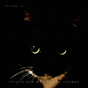 This is our way to the cosmos (Feline II) by BukhansanRheejunghoon