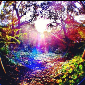 Cxupsean - Forest Blunts (feat. Xemnaschrist)