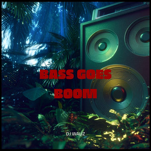 Bass Goes Boom (Instrumental) by DJ Waliz