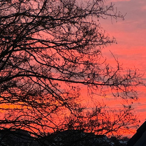 Sunrise by Richix