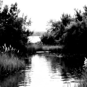 take you to the lake by dan delion