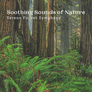 Soothing Sounds of Nature: Serene Forest Symphony album