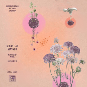 Sebastian Wasner — Memories of a Fool (2026)