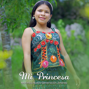 Marimba Nueva Generación Jiménez - Mi Princesa
