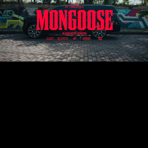 Mongoose by Kasher Quon