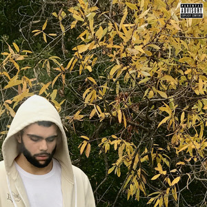 Own It (feat. Croosh) by LocateEmilio, Croosh