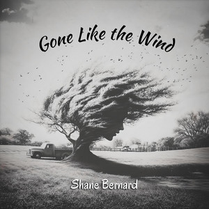 Gone Like The Wind