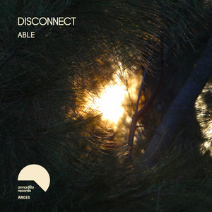 Dis Connect - Mysterious Woods