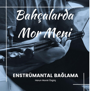 Harun Murat Özgüç - Bahçalarda Mor Meni (Enstrümantal Bağlama)