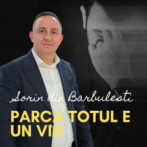 Sorin din Barbulesti - Parca totul e un vis