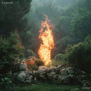 Remedy by Blackadder