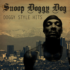 HITS DOGGY SNOOP 洋楽 / 2LP STYLE DOGG